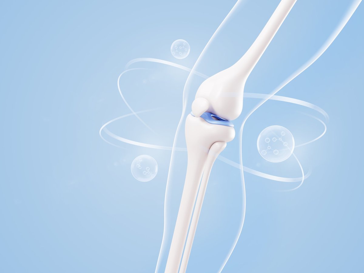 Anatomía de la articulación de la rodilla a partir de estudios de imagen