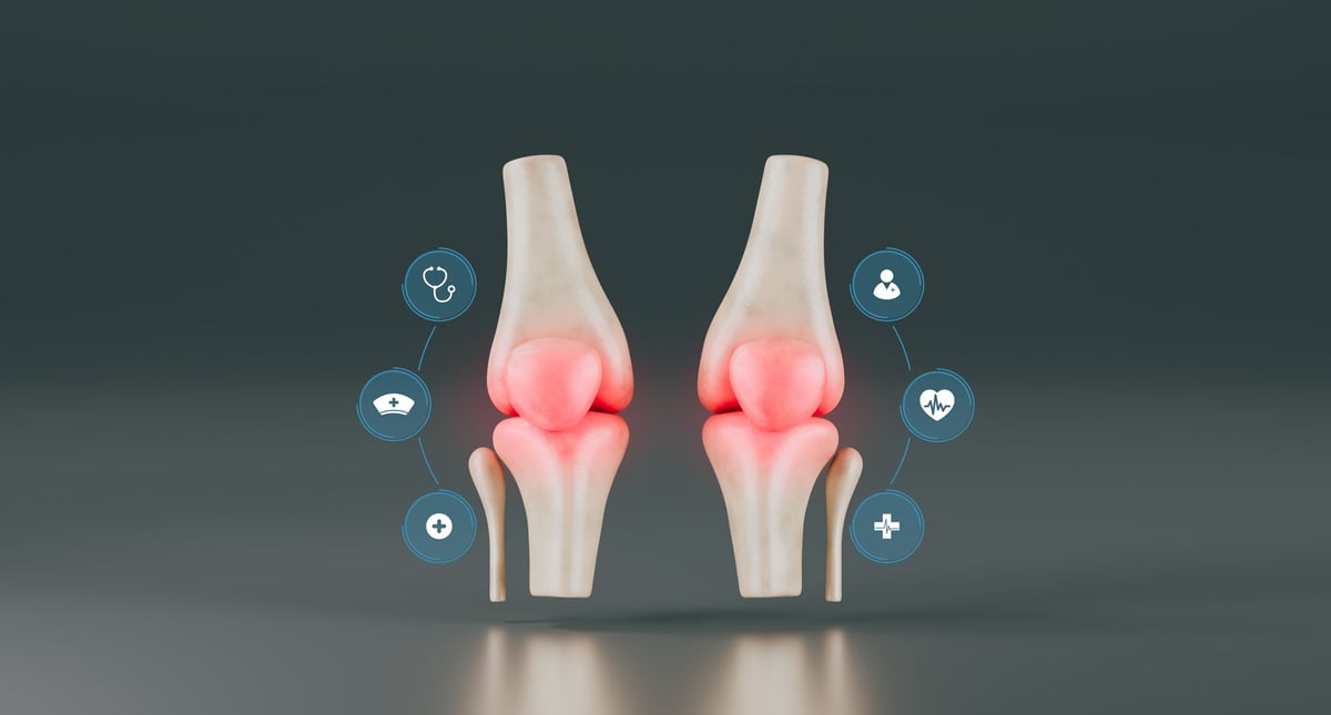 Anatomía de la rodilla — Cartílago