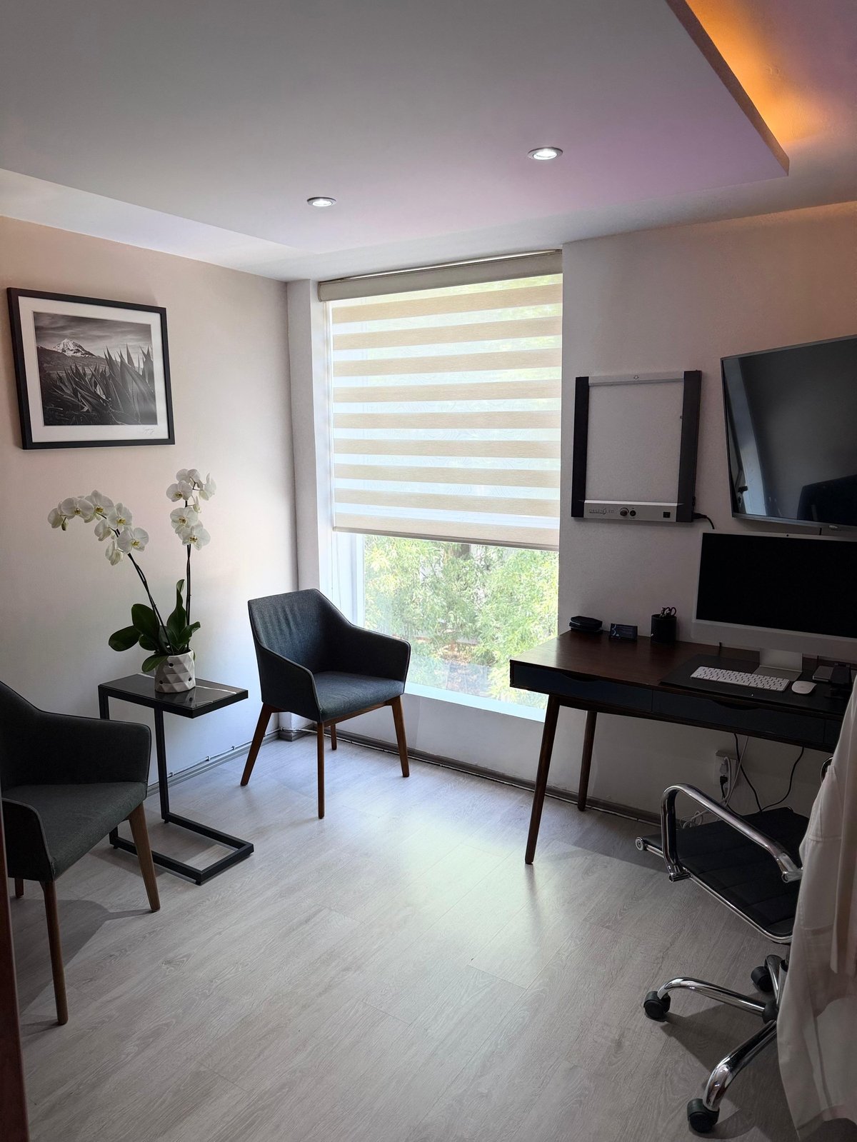 Consultorio moderno con escritorio, sillas y ventanal con luz natural