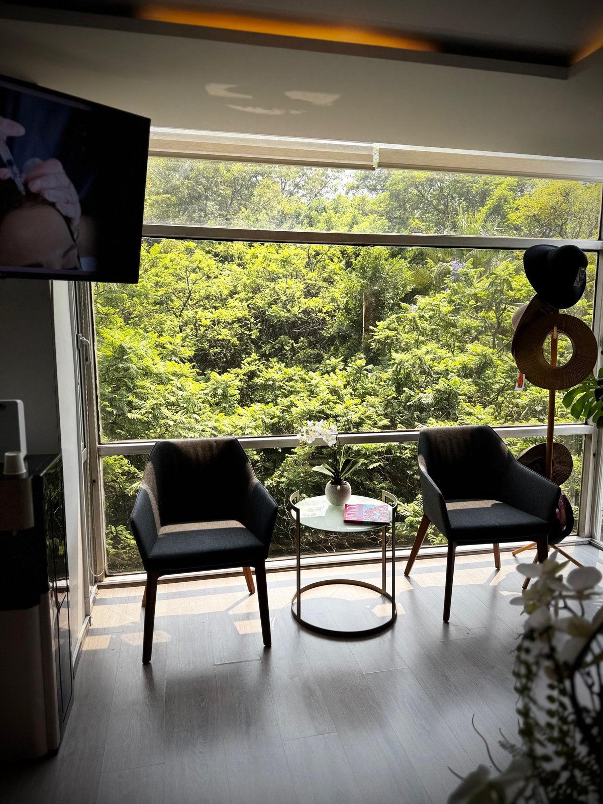 Ventanal amplio con vista arbolada dentro del consultorio