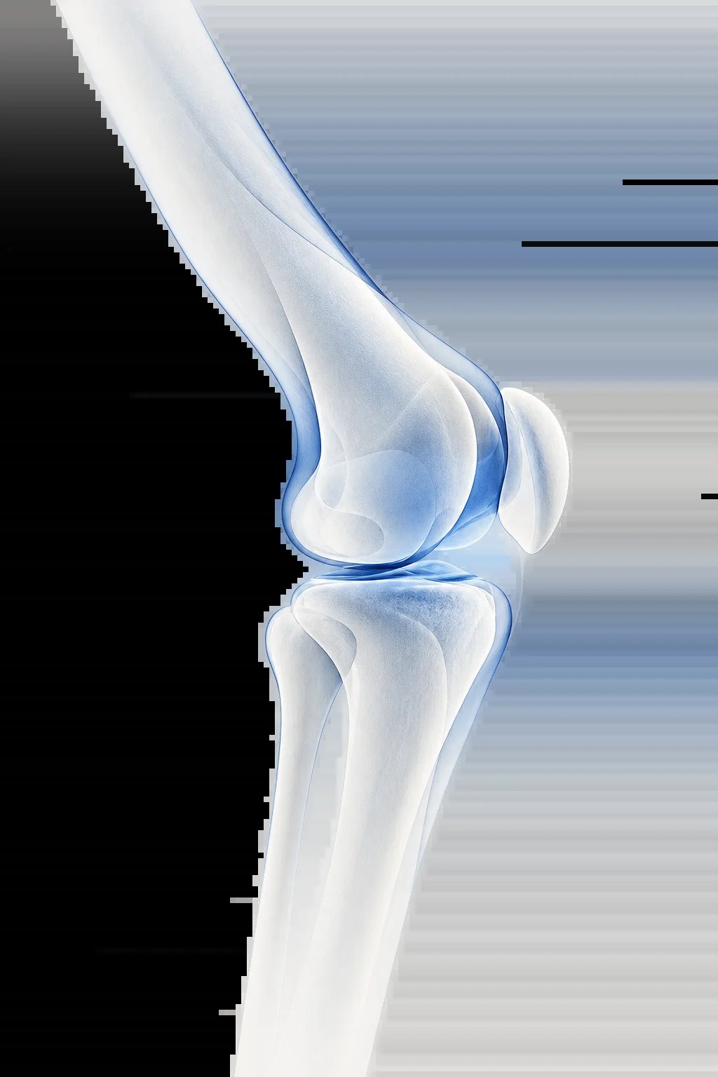 Rodilla durante caminar