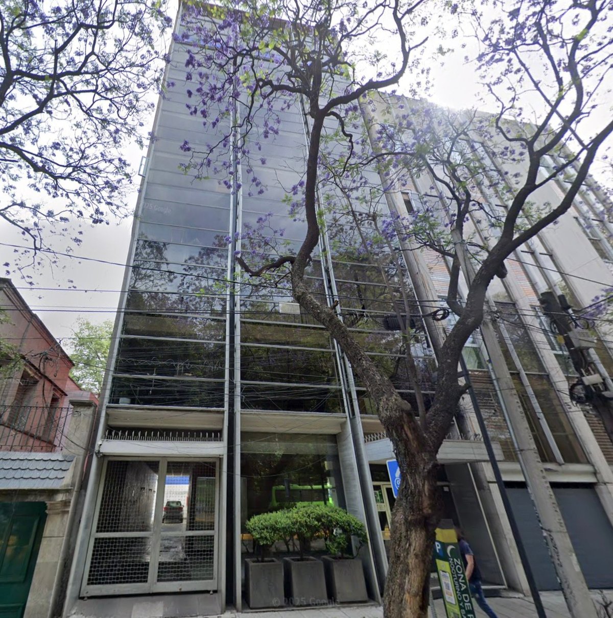 Edificio alto y estrecho de cristal con ventanas y un árbol de jacaranda en flor frente a la entrada, Avenida Sonora 166, Ciudad de México.